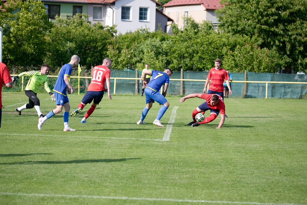 netčice_17