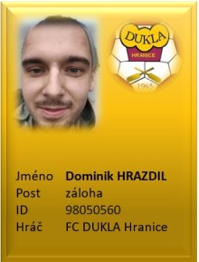 hrazdil_1.jpg