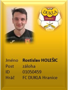 holesic_1.jpg